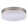 Потолочный светильник Globo Opal 48402 - Потолочный светильник Globo Opal 48402