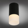 Потолочный светильник Omnilux Lucido OML-100619-01 - Потолочный светильник Omnilux Lucido OML-100619-01