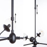 Подвесная люстра Arte Lamp A1664SP-12BK - Подвесная люстра Arte Lamp A1664SP-12BK