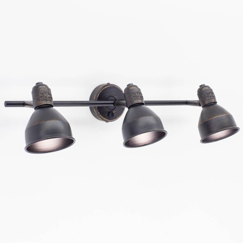 Спот Citilux Опус CL502532 