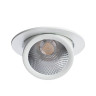 Встраиваемый спот Arte Lamp Cardani A1212PL-1WH - Встраиваемый спот Arte Lamp Cardani A1212PL-1WH