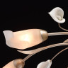 Потолочная люстра MW-Light Восторг 19 242016306 - Потолочная люстра MW-Light Восторг 19 242016306