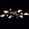 Потолочная люстра MW-Light Восторг 19 242016306 - Потолочная люстра MW-Light Восторг 19 242016306
