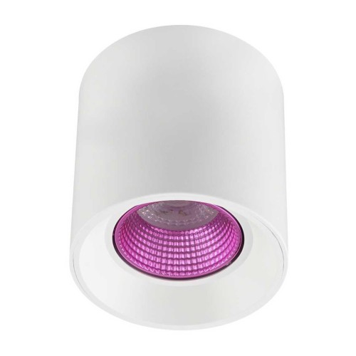 Потолочный светильник Denkirs DK3020WPI DK3090-WH+PI 