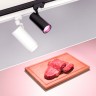 Светильник LGD-GERA-4TR-R74-20W Warm SP2900-Meat (BK, 24 deg, 230V) (Arlight, IP20 Металл, 3 года) - Светильник LGD-GERA-4TR-R74-20W Warm SP2900-Meat (BK, 24 deg, 230V) (Arlight, IP20 Металл, 3 года)