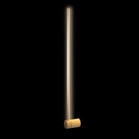  - Настенный светодиодный светильник Loft IT Rays 10056GD