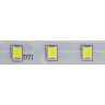 Светодиодная влагозащищенная лента Horoz 4,8W/m 60LED/m 3528SMD синий 081-001-0001 - Светодиодная влагозащищенная лента Horoz 4,8W/m 60LED/m 3528SMD синий 081-001-0001