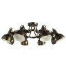 Потолочная люстра Arte Lamp Martin A5216PL-8BR - Потолочная люстра Arte Lamp Martin A5216PL-8BR