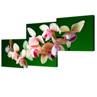  - Модульная картина Toplight Цветы 70х150см TL-M2041