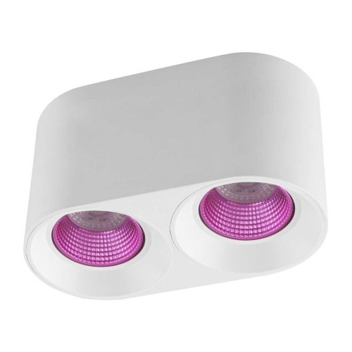 Потолочный светильник Denkirs DK3020WPI DK3096-WH+PI 