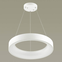  - Подвесной светодиодный светильник Odeon Light Sole 4066/50L