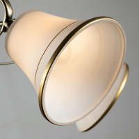  - Потолочная люстра Arte Lamp Blossom A2709PL-5AB