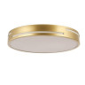 Потолочный светодиодный светильник F-Promo Pall 2745-2C - Потолочный светодиодный светильник F-Promo Pall 2745-2C
