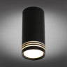 Потолочный светильник Omnilux Olona OML-100819-01 - Потолочный светильник Omnilux Olona OML-100819-01