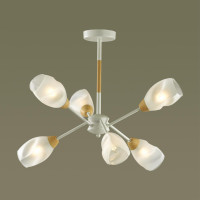  - Потолочная люстра Lumion Kendra 5210/6C