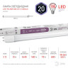 Лампа светодиодная ЭРА G13 20W 6500K матовая LED T8-20W-865-G13-1200mm Б0033005 - Лампа светодиодная ЭРА G13 20W 6500K матовая LED T8-20W-865-G13-1200mm Б0033005
