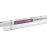 Лампа светодиодная ЭРА G13 20W 6500K матовая LED T8-20W-865-G13-1200mm Б0033005 - Лампа светодиодная ЭРА G13 20W 6500K матовая LED T8-20W-865-G13-1200mm Б0033005