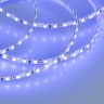 Лента RT 2-5000 12V Blue 5mm 2x (3528, 600 LED, LUX) (Arlight, 9.6 Вт/м, IP20) - Лента RT 2-5000 12V Blue 5mm 2x (3528, 600 LED, LUX) (Arlight, 9.6 Вт/м, IP20)