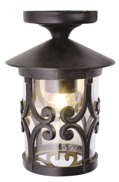 Уличный потолочный светильник Arte Lamp Persia A1453PF-1BK 
