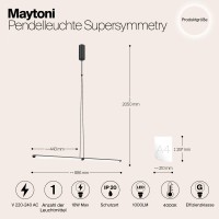 Подвесной светильник Maytoni P096PL-L11BK1 - Подвесной светильник Maytoni P096PL-L11BK1
