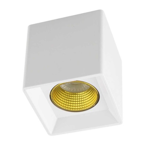 Потолочный светильник Denkirs DK3020WYE DK3080-WH+YE 