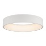 Светильник SP-TOR-RING-HANG-R600-42W Warm3000 (WH, 120 deg) (Arlight, IP20 Металл, 3 года) - Светильник SP-TOR-RING-HANG-R600-42W Warm3000 (WH, 120 deg) (Arlight, IP20 Металл, 3 года)