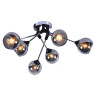 Потолочная люстра Seven Fires Ширли SF3308/6C-MBK-CR - Потолочная люстра Seven Fires Ширли SF3308/6C-MBK-CR