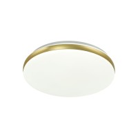  - Настенно-потолочный светодиодный светильник Sonex Ringo 7626/AL