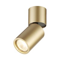  - Спот Odeon Light Duetta 3895/1C