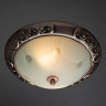 Потолочный светильник Arte Lamp 28 A3014PL-2AC - Потолочный светильник Arte Lamp 28 A3014PL-2AC