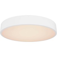 Потолочный светодиодный светильник Globo Wiss 41744-24