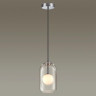 Подвесной светильник Odeon Light Lostar 4953/1 - Подвесной светильник Odeon Light Lostar 4953/1