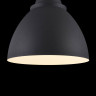 Подвесной светильник Maytoni P535PL-01B - Подвесной светильник Maytoni P535PL-01B