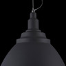 Подвесной светильник Maytoni P535PL-01B - Подвесной светильник Maytoni P535PL-01B