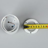 Потолочный светильник Omnilux Rotondo OML-100709-01 - Потолочный светильник Omnilux Rotondo OML-100709-01