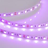  - Лента RT 2-5000 12V Pink 2X (5060, 300 LED, LUX) (Arlight, 14.4 Вт/м, IP20)