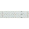 Лента RT 2-2500 24V Cool 8K 5x2 (2835, 875 LED, LUX) (Arlight, 36 Вт/м, IP20) - Лента RT 2-2500 24V Cool 8K 5x2 (2835, 875 LED, LUX) (Arlight, 36 Вт/м, IP20)