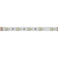  - Лента RT 2-5000 24V White-TRIX 2x (3528, 450 LED, LUX) (Arlight, 7.6 Вт/м, IP20)