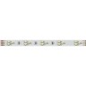 Лента RT 2-5000 24V White-TRIX 2x (3528, 450 LED, LUX) (Arlight, 7.6 Вт/м, IP20) - Лента RT 2-5000 24V White-TRIX 2x (3528, 450 LED, LUX) (Arlight, 7.6 Вт/м, IP20)