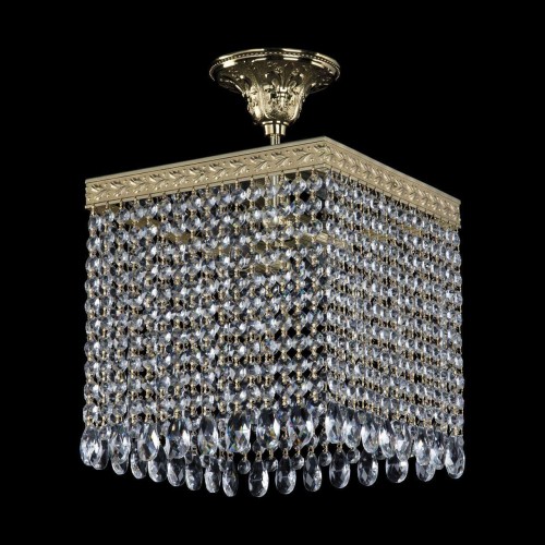 Потолочная люстра Bohemia Ivele 19202/25IV G 