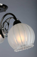  - Потолочная люстра Omnilux OML-31807-05