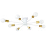 Потолочная люстра Arte Lamp Alastor A6702PL-8WH - Потолочная люстра Arte Lamp Alastor A6702PL-8WH