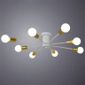 Потолочная люстра Arte Lamp Alastor A6702PL-8WH - Потолочная люстра Arte Lamp Alastor A6702PL-8WH