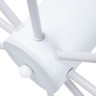 Потолочная люстра Arte Lamp Alastor A6702PL-8WH - Потолочная люстра Arte Lamp Alastor A6702PL-8WH