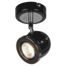 Спот Lussole Tivoli LSN-3121-01 - Спот Lussole Tivoli LSN-3121-01