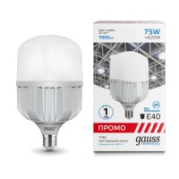  - Лампа светодиодная Gauss E40 75W 6500K матовая 60438