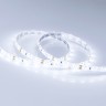 Лента RTW 2-5000SE 12V Cool (3528, 300 LED, LUX) (Arlight, 4.8 Вт/м, IP65) - Лента RTW 2-5000SE 12V Cool (3528, 300 LED, LUX) (Arlight, 4.8 Вт/м, IP65)