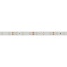 Лента RTW 2-5000SE 12V Cool (3528, 300 LED, LUX) (Arlight, 4.8 Вт/м, IP65) - Лента RTW 2-5000SE 12V Cool (3528, 300 LED, LUX) (Arlight, 4.8 Вт/м, IP65)