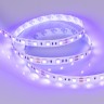 Лента RT 2-5000 12V UV400 2x (5050, 300 LED, LUX) (Arlight, 14.4 Вт/м, IP20) - Лента RT 2-5000 12V UV400 2x (5050, 300 LED, LUX) (Arlight, 14.4 Вт/м, IP20)