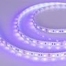 Лента RT 2-5000 12V UV400 2x (5050, 300 LED, LUX) (Arlight, 14.4 Вт/м, IP20) - Лента RT 2-5000 12V UV400 2x (5050, 300 LED, LUX) (Arlight, 14.4 Вт/м, IP20)